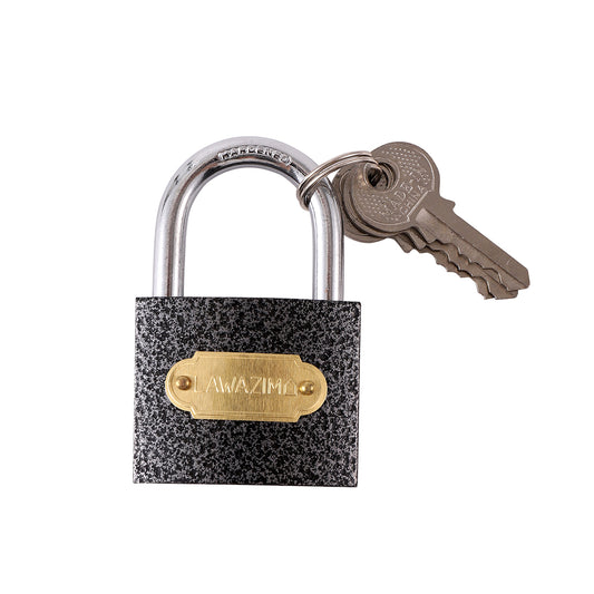 Iron Padlock - 50mm - Security Lock with Hardened Steel Shackle and Keys - for Gates, Lockers, Doors, Cabinets, Toolboxes, and Outdoor Use