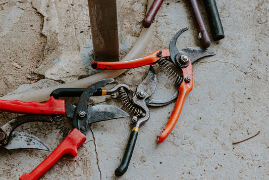 garden pruning tools in Saudi Arabia selection